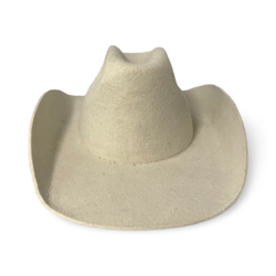 Wool cowboy hat