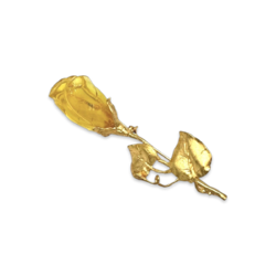 Gilded brooch with amber Rose