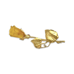 Gold-plated brooch with amber Rose