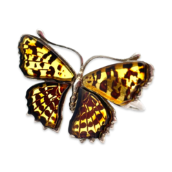 Large silver amber ring Butterfly