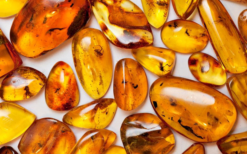 The Beauty of Amber and Copal: Examining the Differences in Precious Stones