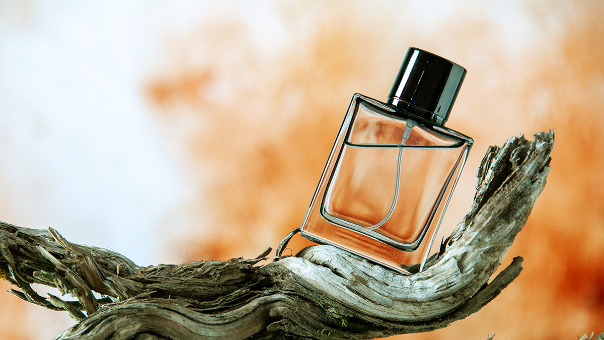 Amber in Perfumery