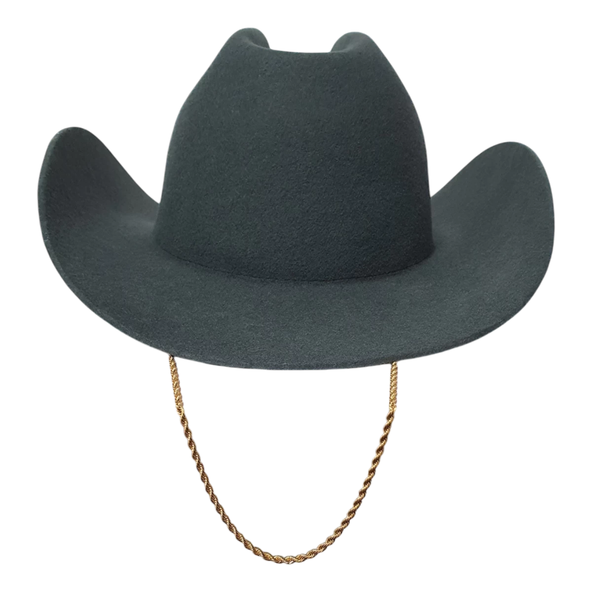 Ковбойський капелюх з чорницею Avalon