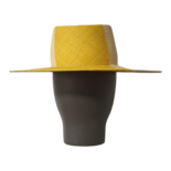 Citron Palm Chess Gambler