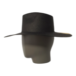 Limetta Palm Cruella Fedora