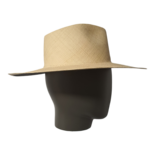 Limetta Palm Cruella Fedora