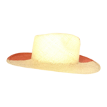 Sombrero de Paja