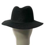 Travel black Fedora Hat