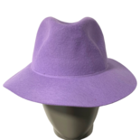 Sombrero Fedora de Viaje