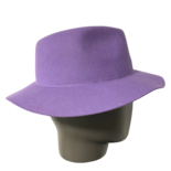 Sombrero Fedora de Viaje