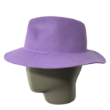 Sombrero Fedora de Viaje