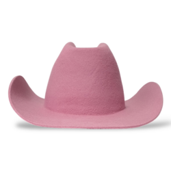 Chapeau de Cowboy Guava Avalon