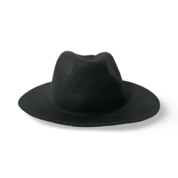 Travel black Fedora Hat