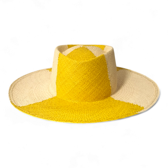 Jugador de ajedrez de Citron Palm
