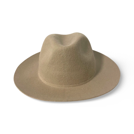 Sombrero Fedora de Viaje