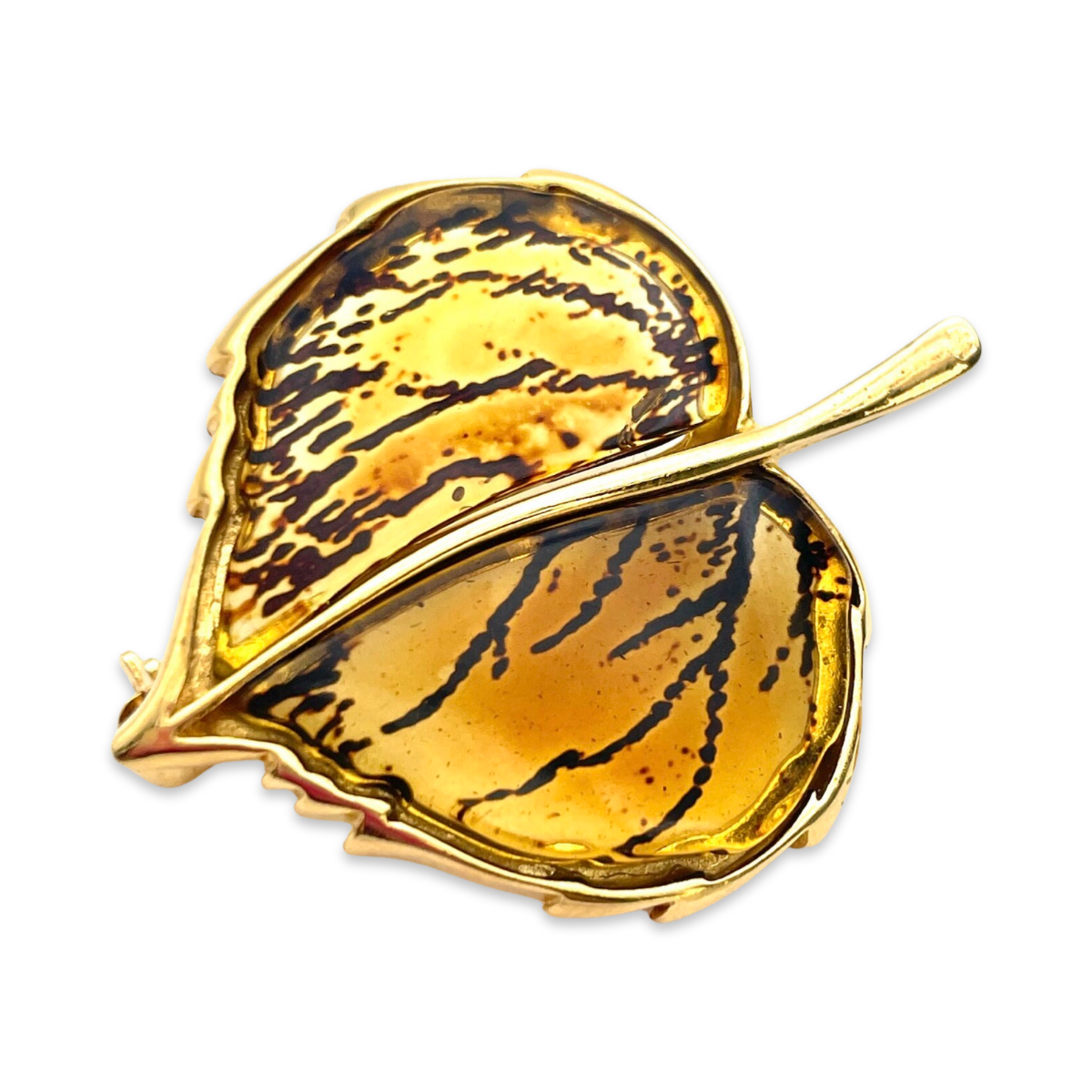 Amber store Brooch and pendant