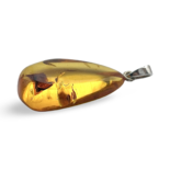 Amber pendant