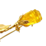 琥珀玫瑰，镀金胸针
