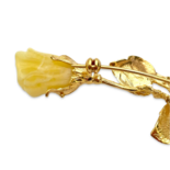 Amber Rose, Goldplattierte Brosche