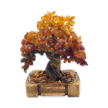 Amber tree bonsai