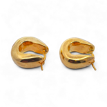 Gold plated silver Earrings