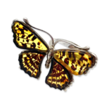 Large silver amber ring Butterfly