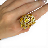 Certainly! Here's the translation:

```html
黄色公主戒指
```