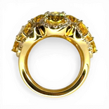 Certainly! Here's the translation:

```html
黄色公主戒指
```