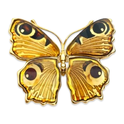 Gilded butterfly brooch with amber