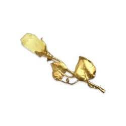 Gold plated amber rose brooch