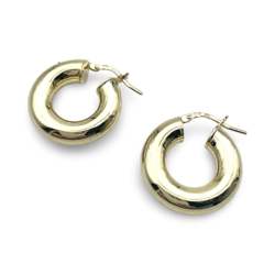 Gold plated silver earrings