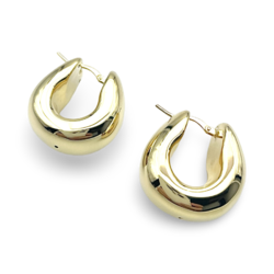 Gold plated silver earrings