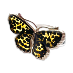 Anillo de Ámbar «Mariposa»