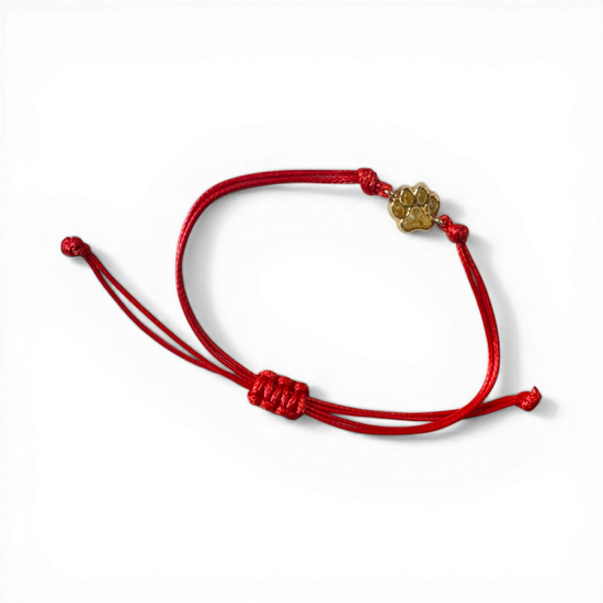 Amber bracelet “Paw”